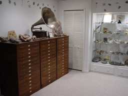 home display