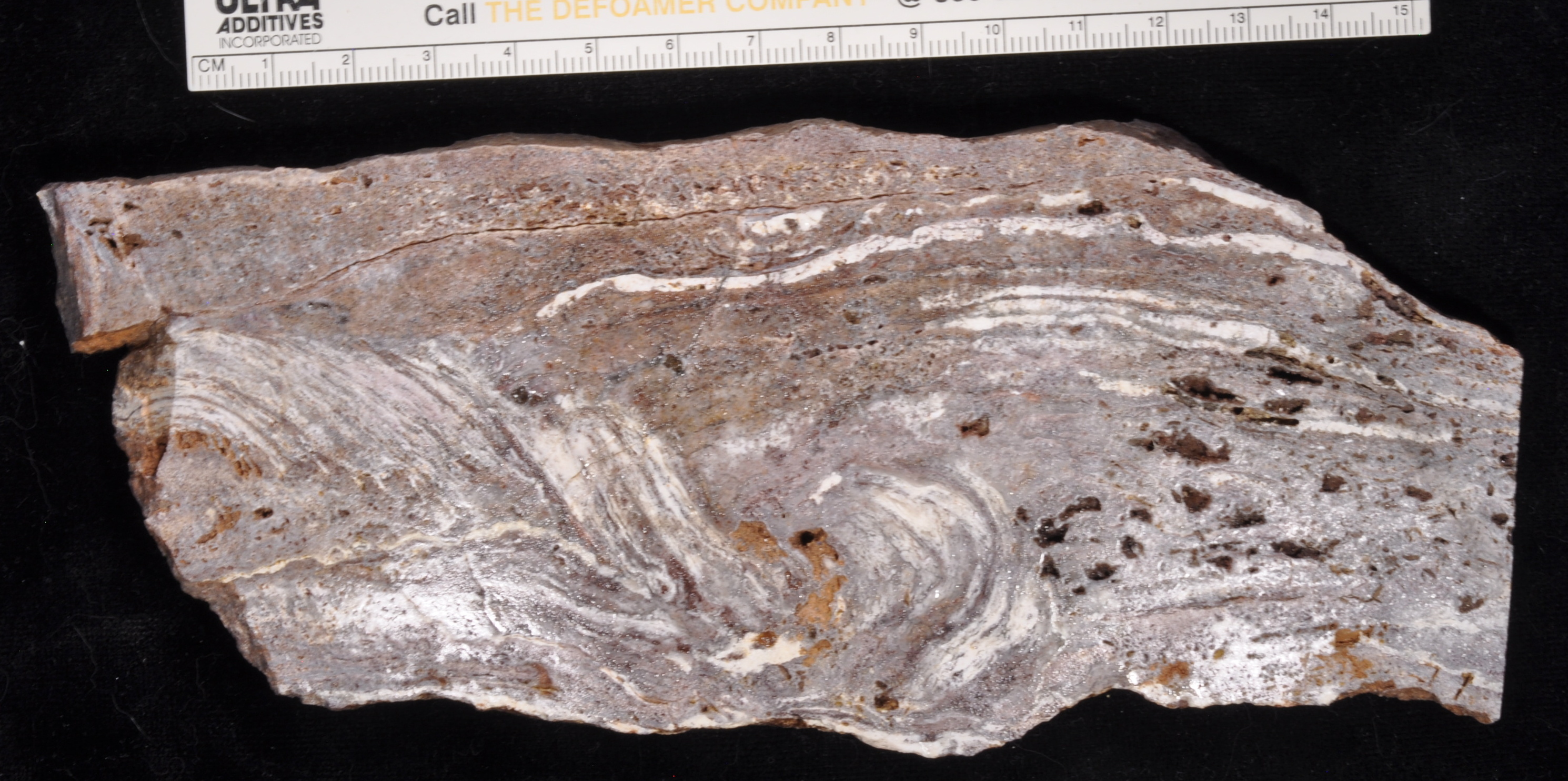 Stromatolite