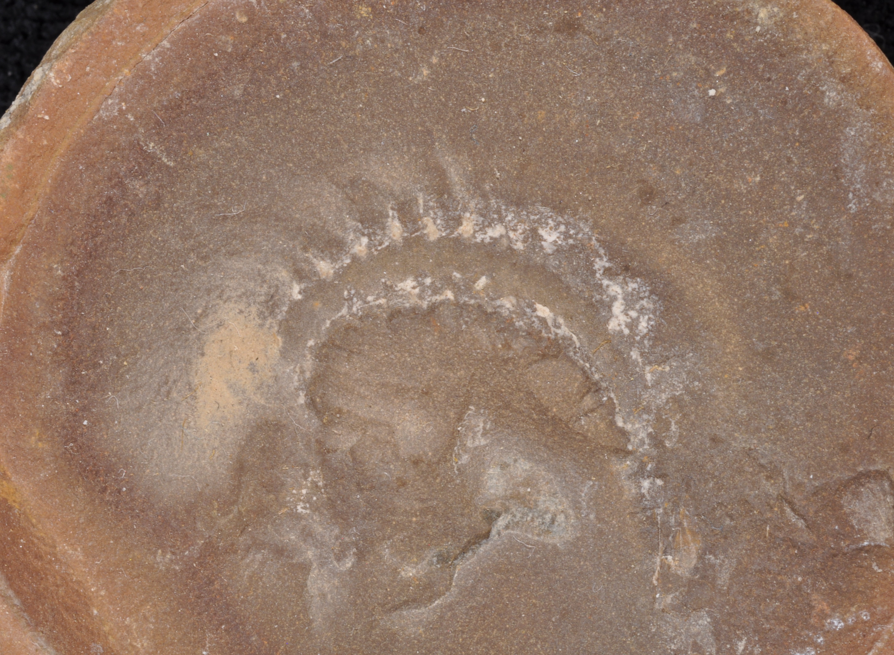 Esconites